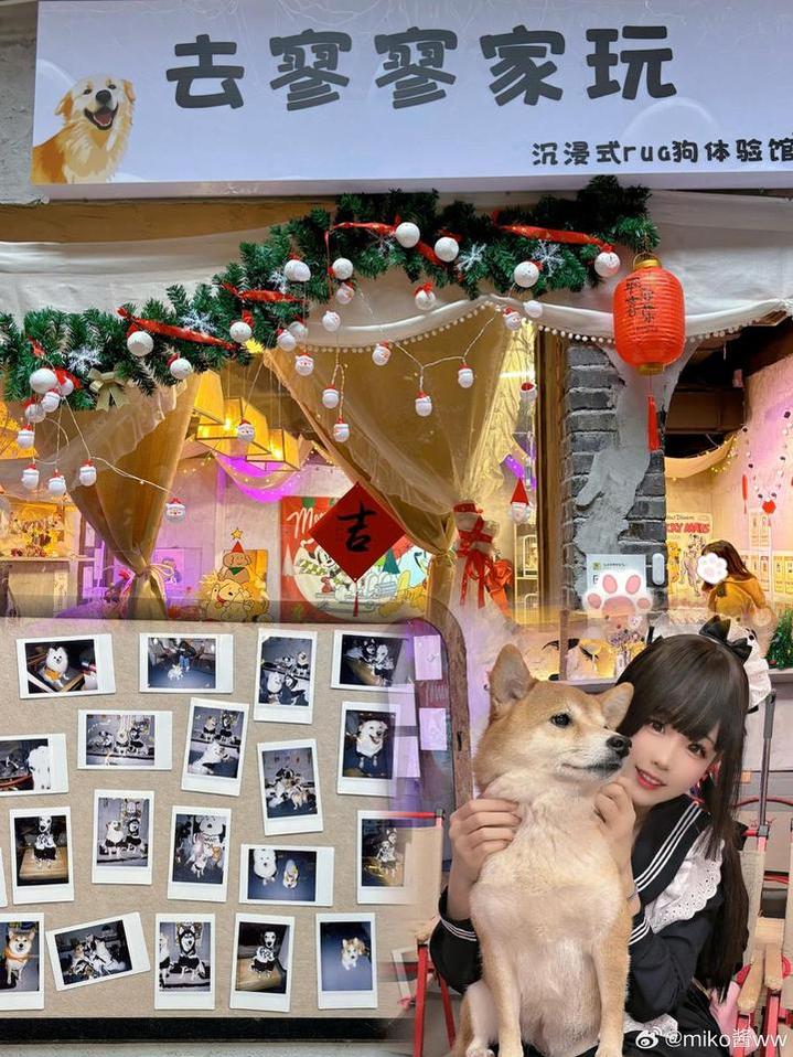 万篇长征黑料不打烊导航：最全登录入口地址集合